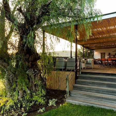 Swartberg Country Manor Guest House Matjiesrivier  Екстериор снимка