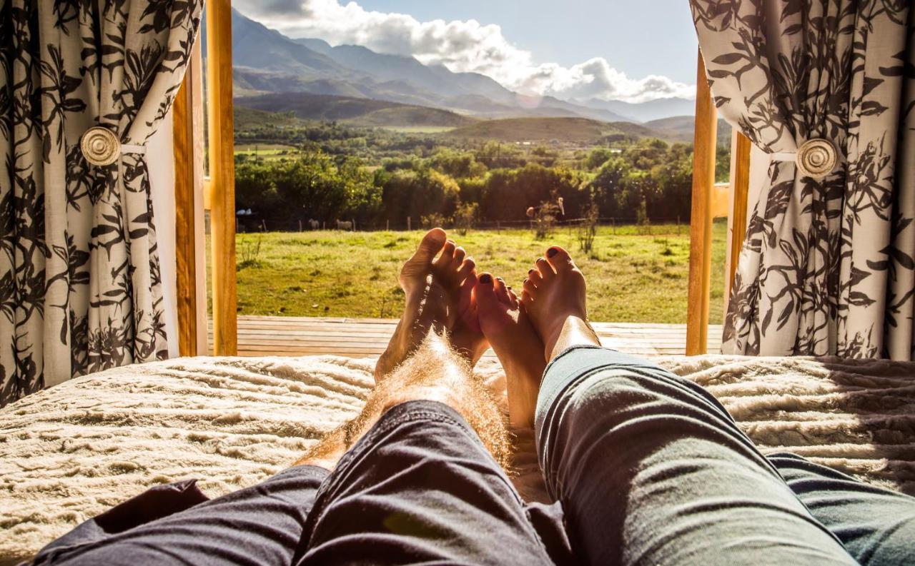 Swartberg Country Manor Guest House Matjiesrivier  Екстериор снимка