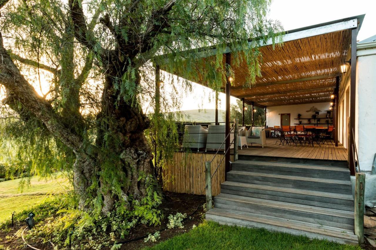 Swartberg Country Manor Guest House Matjiesrivier  Екстериор снимка