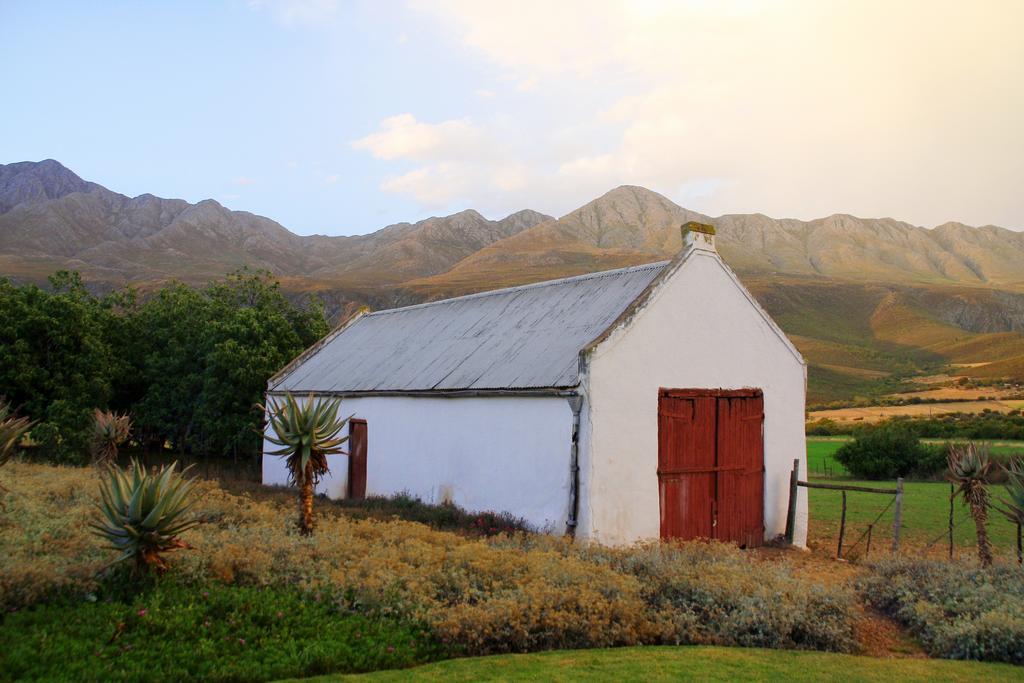 Swartberg Country Manor Guest House Matjiesrivier  Екстериор снимка