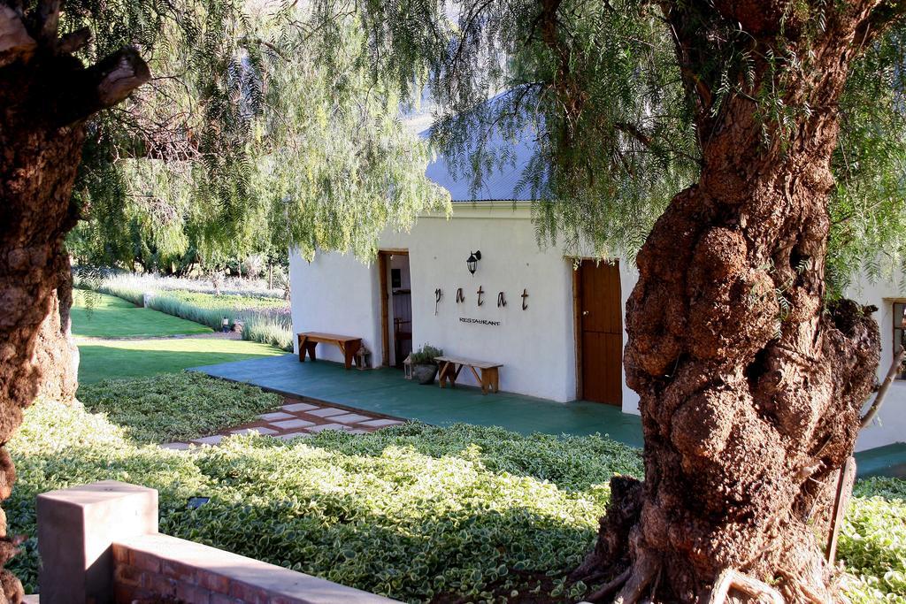 Swartberg Country Manor Guest House Matjiesrivier  Екстериор снимка