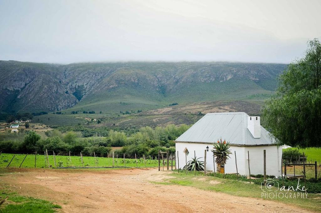Swartberg Country Manor Guest House Matjiesrivier  Екстериор снимка