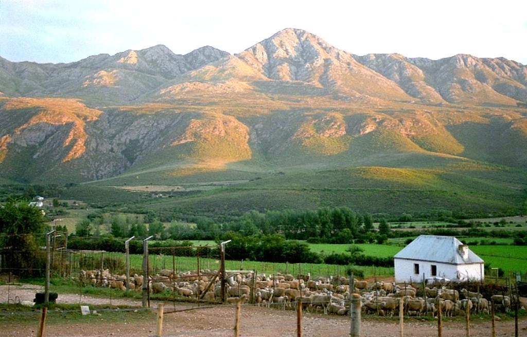 Swartberg Country Manor Guest House Matjiesrivier  Екстериор снимка