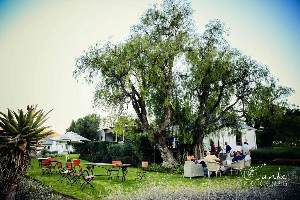 Swartberg Country Manor Guest House Matjiesrivier  Екстериор снимка
